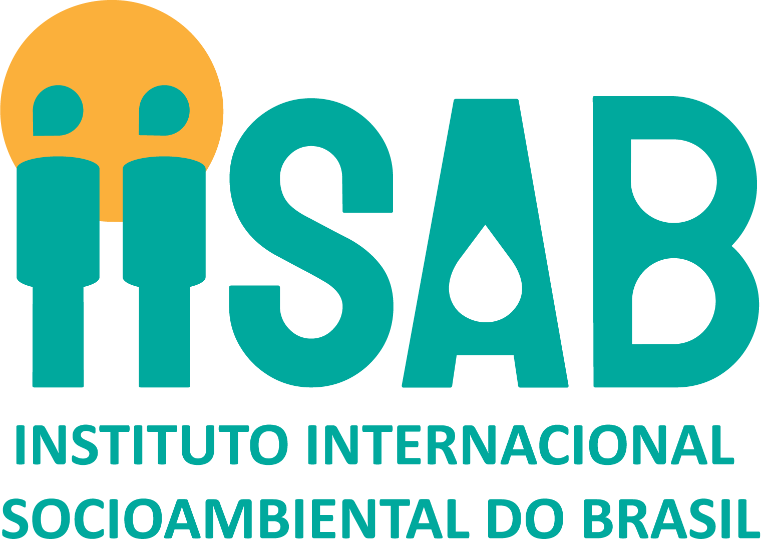 INSTITUTO INTERNACIONAL SOCIOAMBIENTAL DO BRASIL